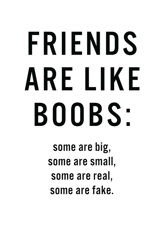 Friends Are Like Boobs Plagát