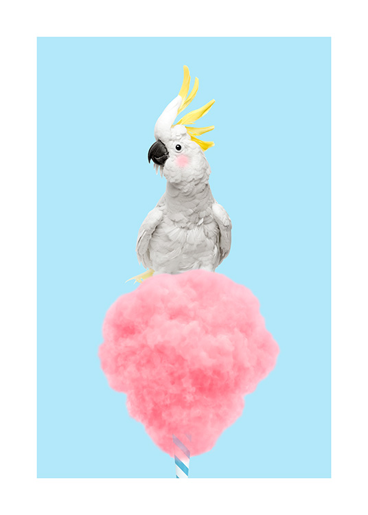Cotton Candy Cockatoo Plagát