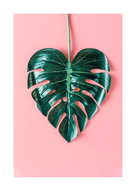 Heart-Shaped Monstera Plagát