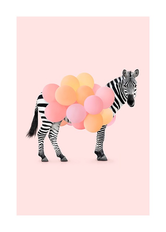 Zebra Balloon Plagát