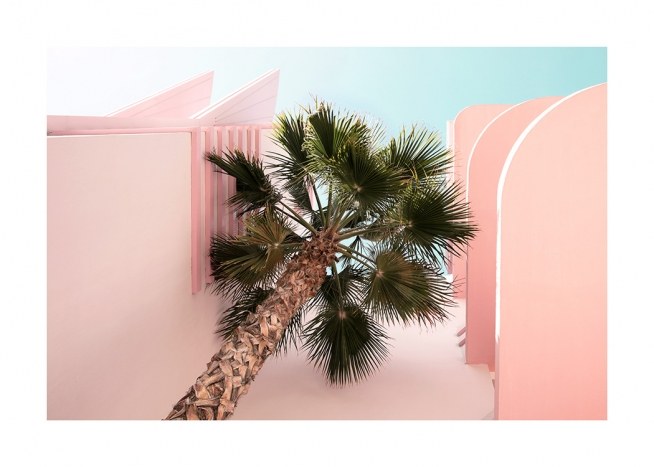 Palm from Beneath Plagát