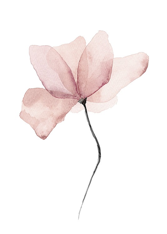  – Akvarelová maľba ružového kvetu na bielom pozadí