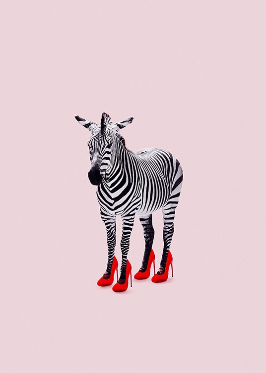 Zebra Heels Plagát