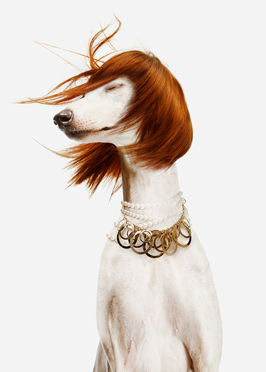  - Fotografia bieleho psa v červenej parochni s perlovým a zlatým náhrdelníkom na svetlom pozadí