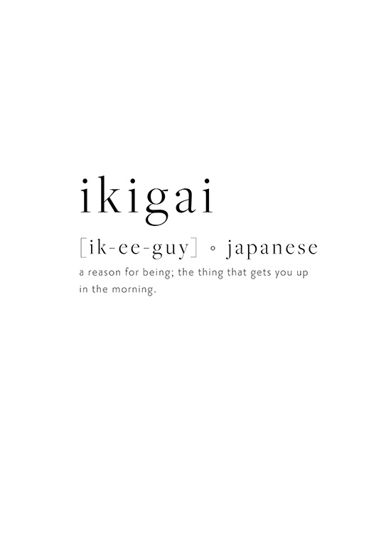 Ikigai Plagát