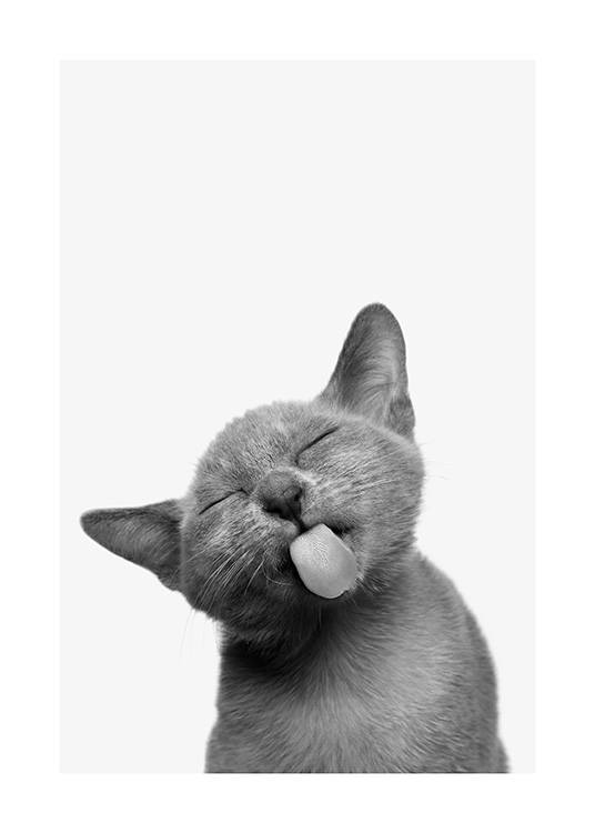 Cat Tongue Plagát / Zvieratá v Desenio AB (13861)