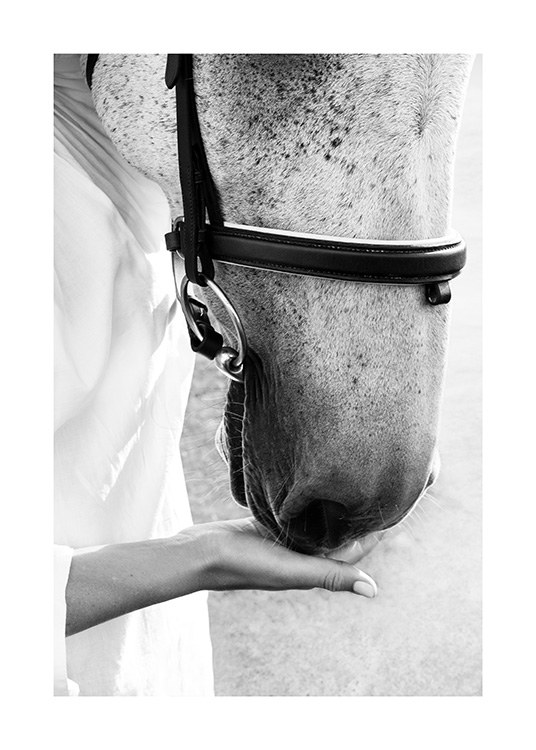 Sweet Friend Plagát