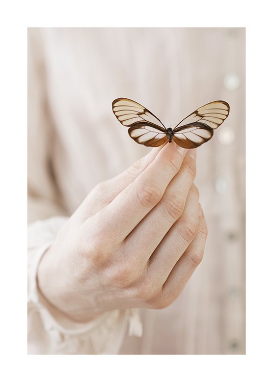 Butterfly Friend Plagát