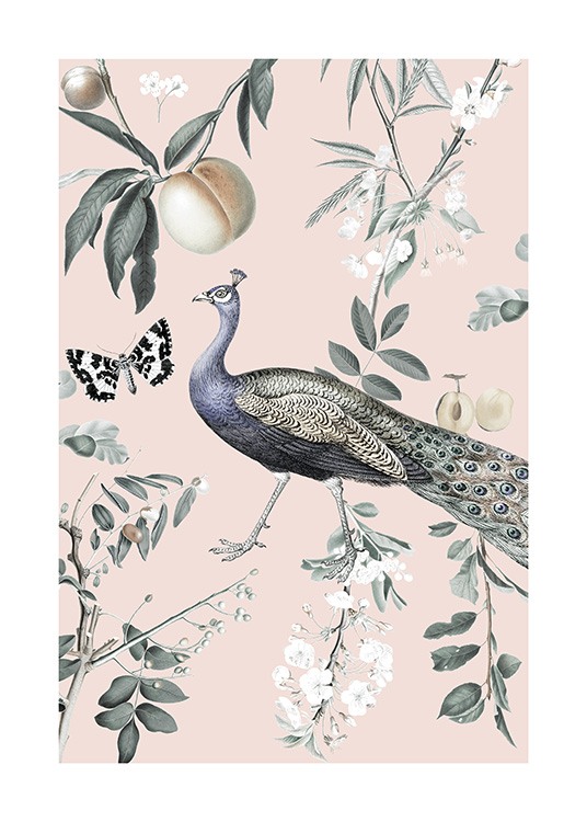 Vintage Peacock Plagát