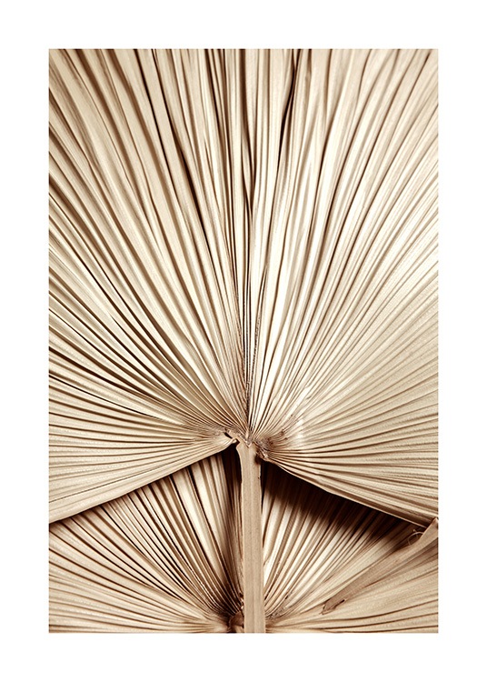 Golden Palm Leaf No2 Plagát
