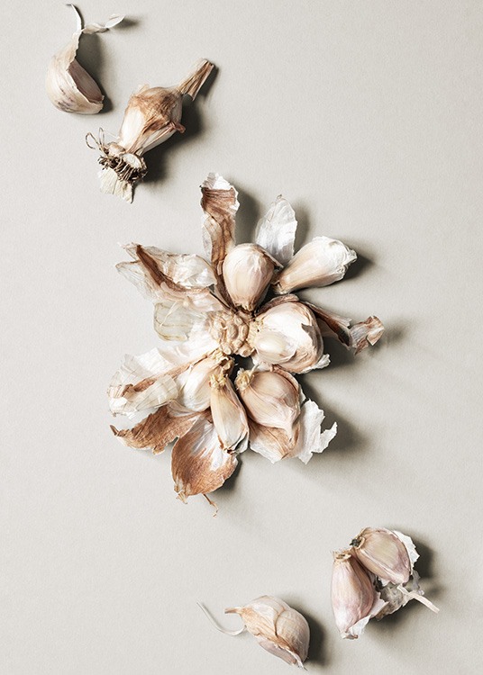 Garlic Cloves Plagát
