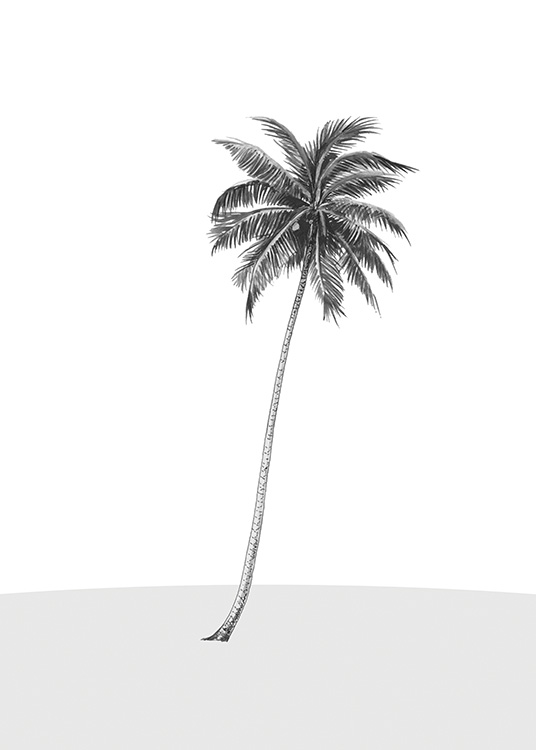 Lonely Palm Tree Plagát