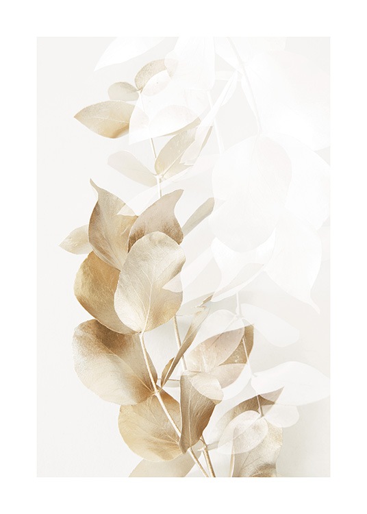  – Fotografia zlato-bielych eukalyptových vetvičiek na krémovom pozadí