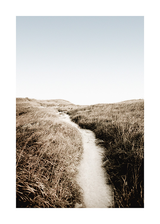 – Fotografia trávy rastúcej popri piesočnej cestičke s modrou oblohou v pozadí