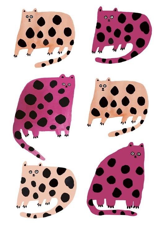 Colourful Cats Plagát