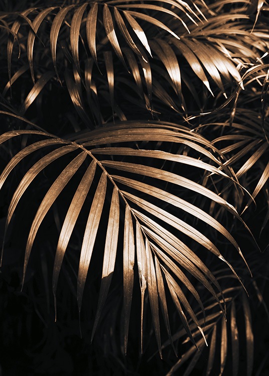  – Fotografia zlatých palmových listov na čiernom pozadí