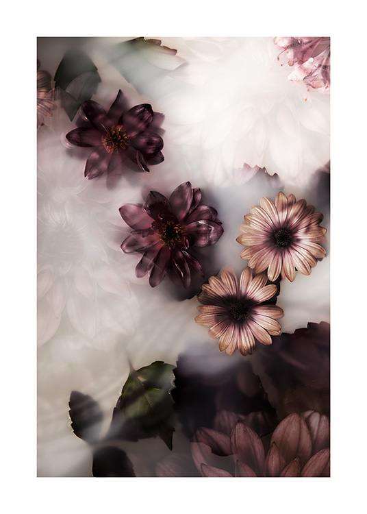  – Fotografia ružových a tmavofialových kvetov plávajúcich v mliečnom kúpeli