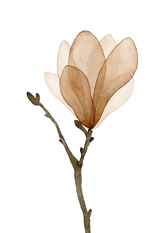 Watercolor Magnolia Plagát