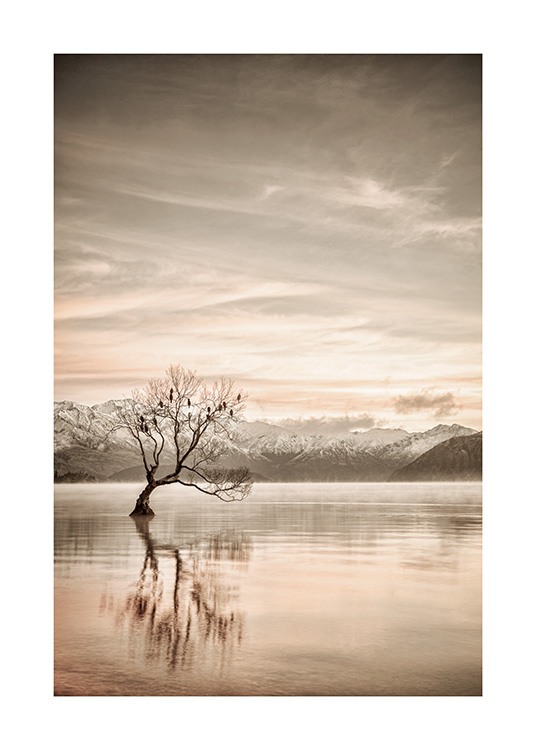  – Fotografia nehybného jazera so stromom a horami v pozadí