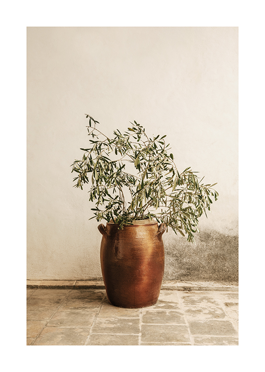  – Jednoduché olivové vetvičky vo váze