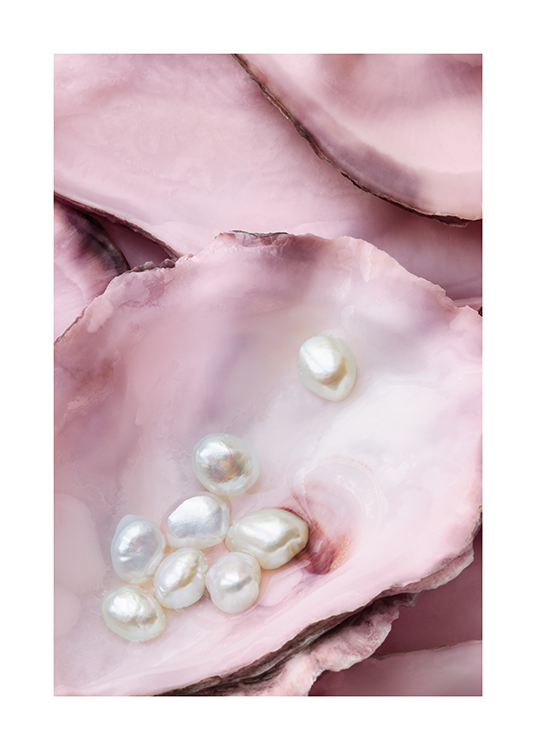  – Fotografia ružových ustríc s bielymi perlami