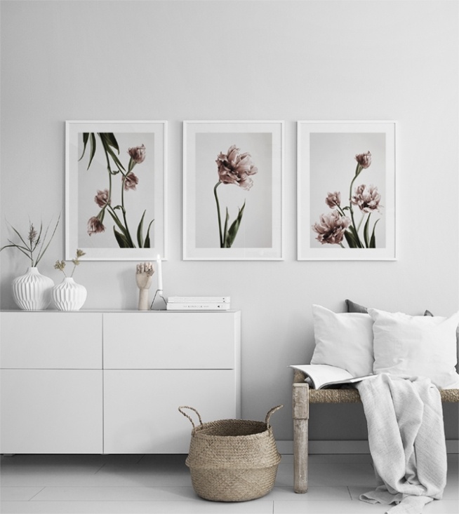  – Fotografia ružových tulipánov v plnom kvete na sivom pozadí