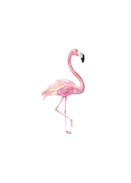 Flamingo Aquarelle  Plagát