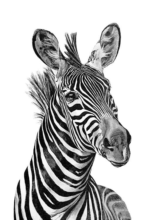 Zebra Black And White Plagát / Obrazy pre deti v Desenio AB (2400)