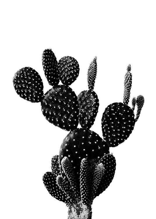 Black Cactus One Plagát