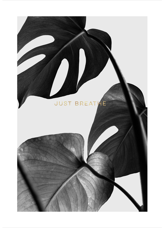 Remember To Breathe Plagát