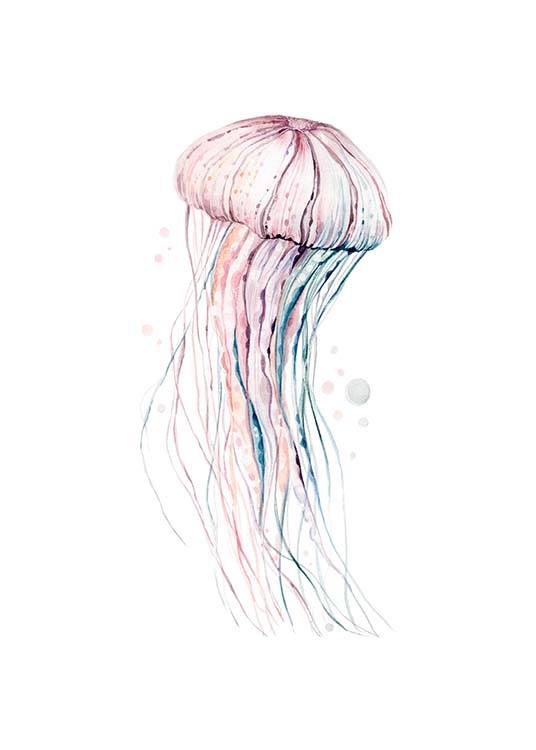 Aquarelle Jellyfish Plagát