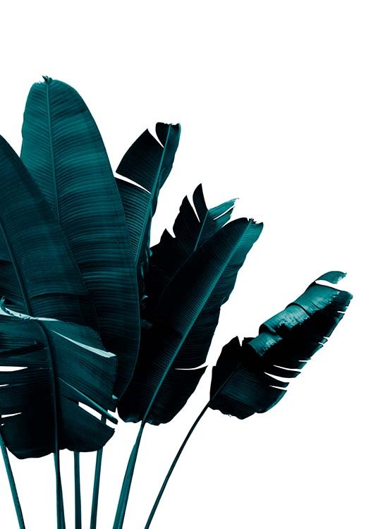 Green Banana Leaves Plagát