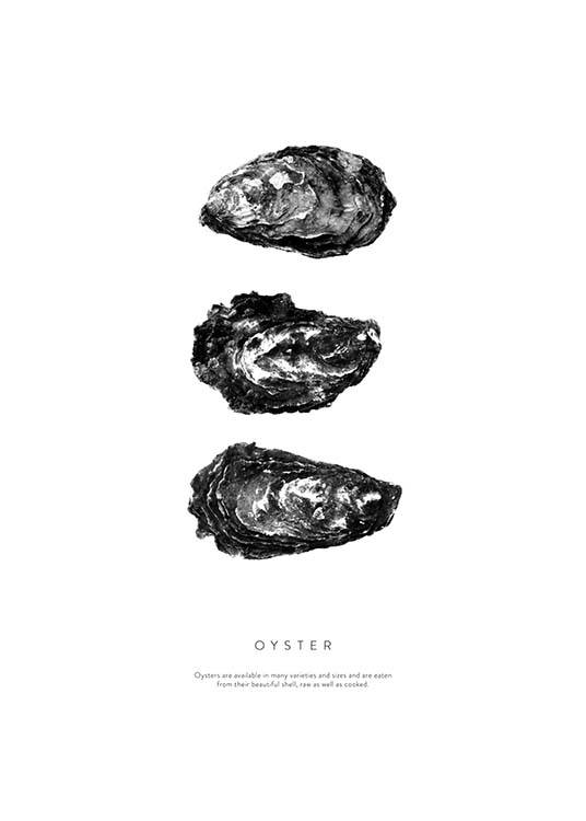 Oyster Three Plagát / Čiernobiele plagáty v Desenio AB (3165)