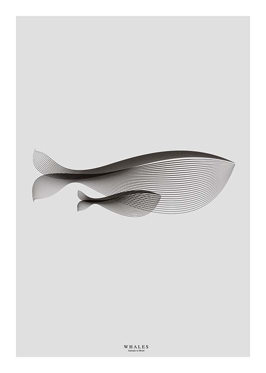 Whales In Moiré Plagát