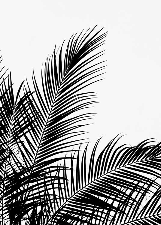 Black Palm Tree Two Plagát