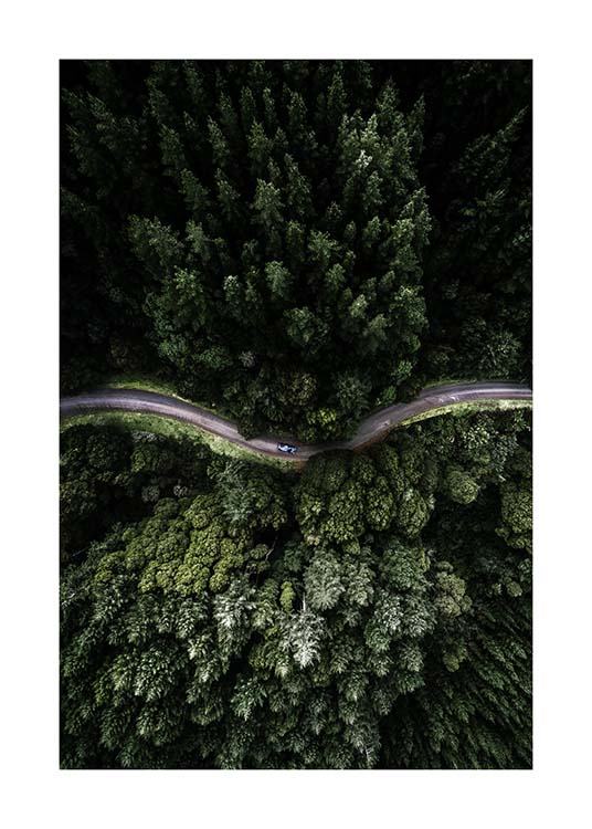 Forest Road Plagát