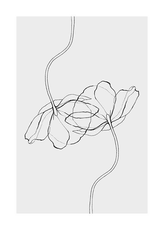 Line Poppies Plagát