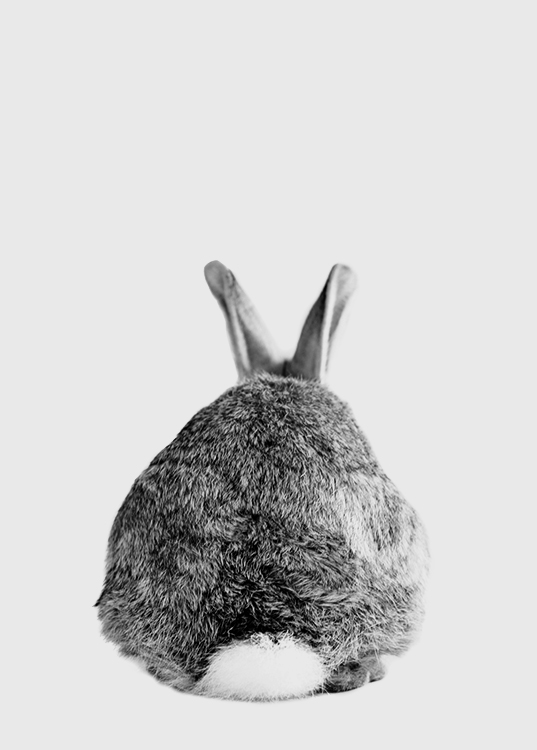 The Cutest Thing Plagát