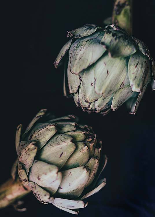 Artichokes Plagát