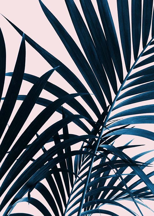 Blue Leaves On Pink No2 Plagát