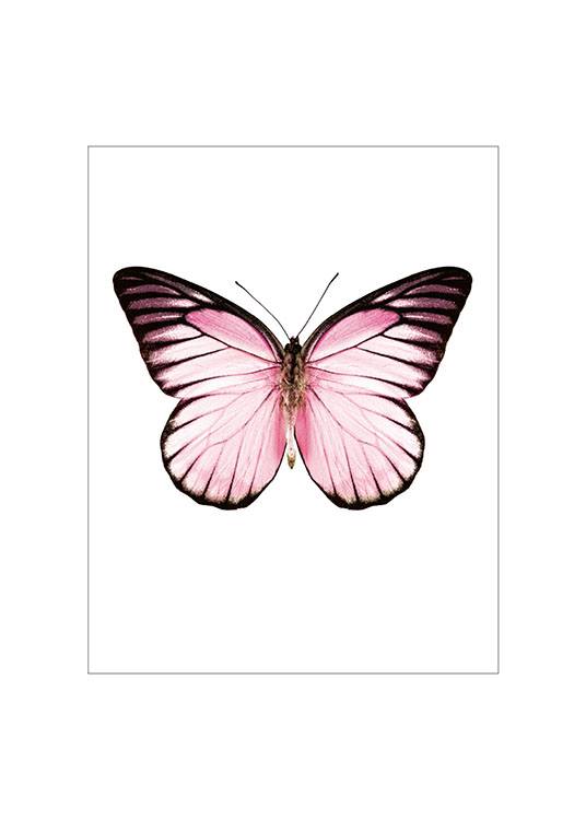 Pink Butterfly Small Plagát 