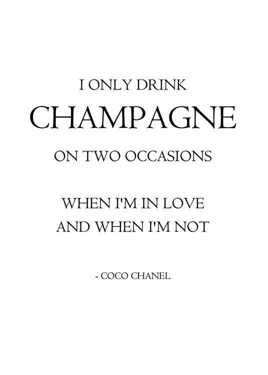 I Only Drink Champagne, Plagát