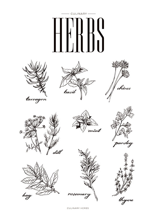Herbs, Plagát