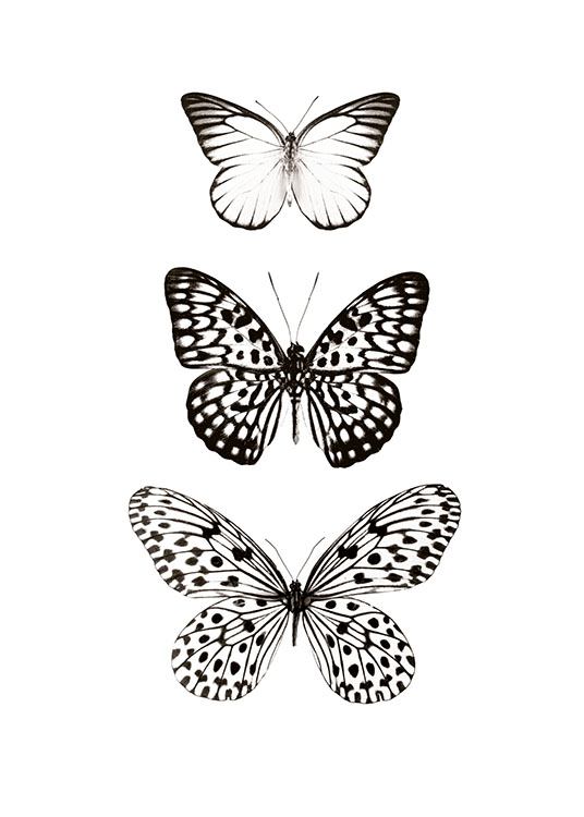 Three Butterflies, Plagát