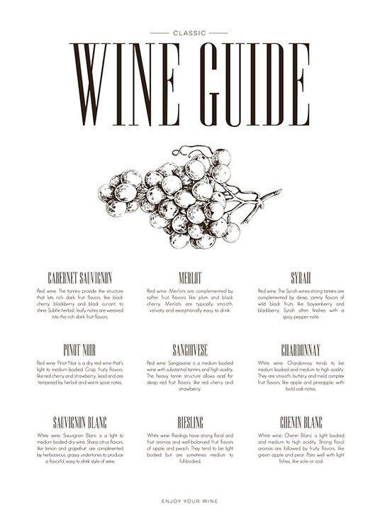 Wine Guide, Plagát