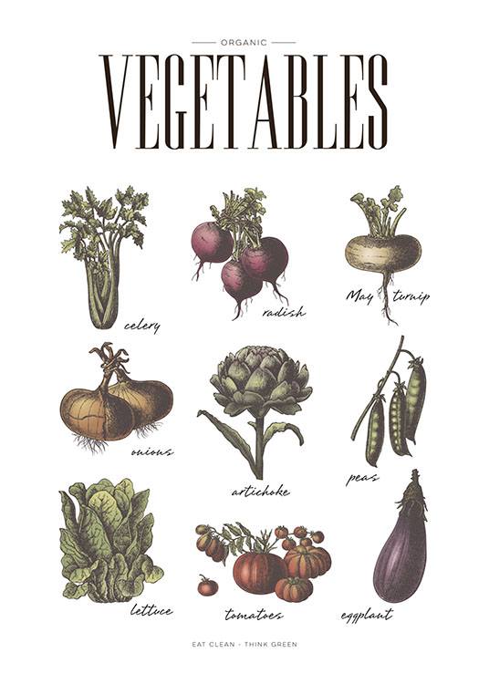 Vegetables, Plagát