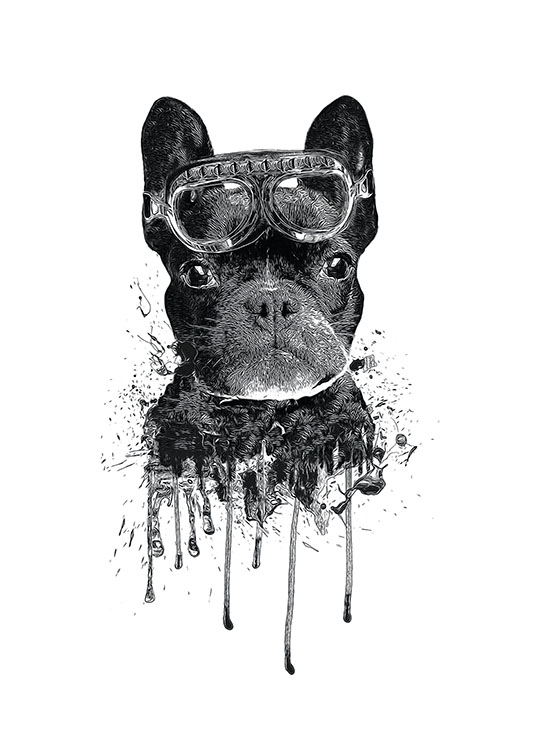 French Bulldog, Plagát