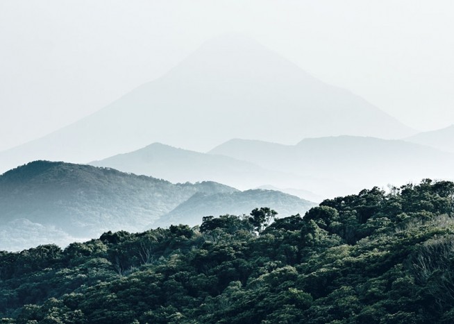 Forest Hills, Plagát