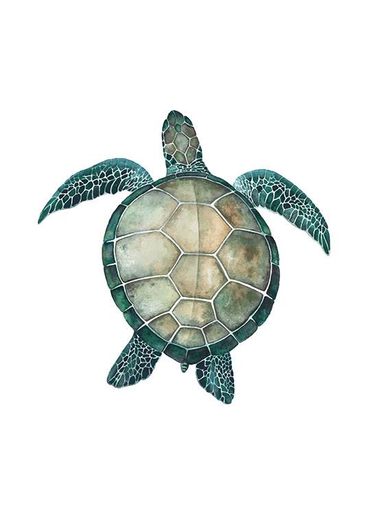 Sea Turtle, Plagát