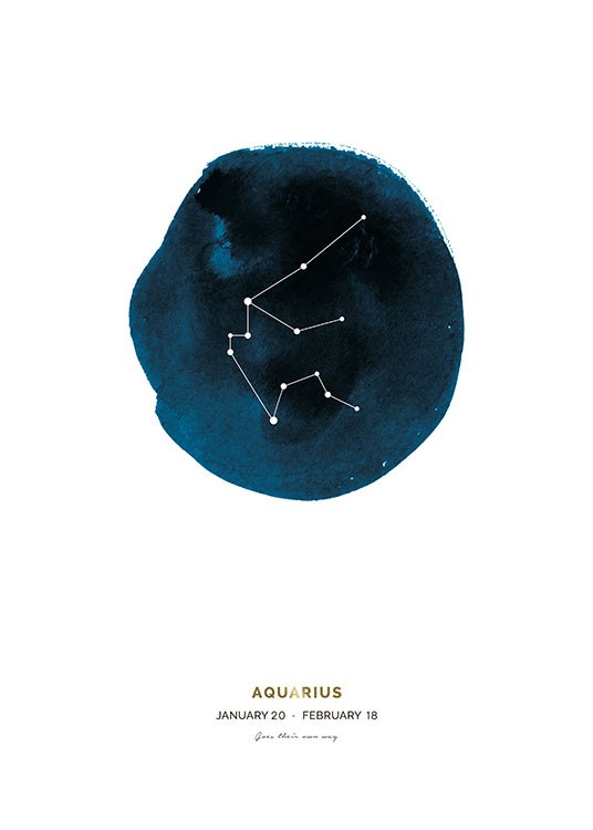 Aquarius Plagát